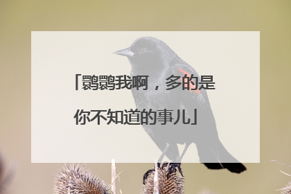 鹮鹮我啊，多的是你不知道的事儿