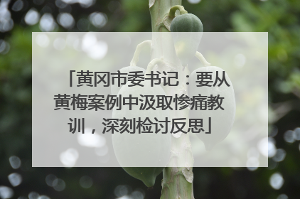 黄冈市委书记：要从黄梅案例中汲取惨痛教训，深刻检讨反思