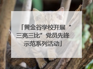黄金谷学校开展“三亮三比”党员先锋示范系列活动