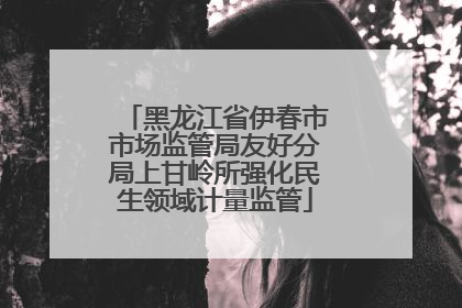 黑龙江省伊春市市场监管局友好分局上甘岭所强化民生领域计量监管