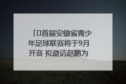 ﻿首届安徽省青少年足球联赛将于9月开赛 拟邀请赵鹏为先导赛开球