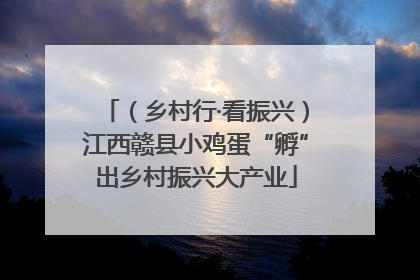 （乡村行·看振兴）江西赣县小鸡蛋“孵”出乡村振兴大产业