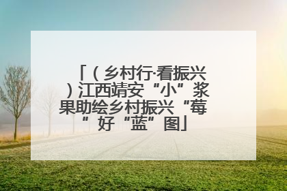 （乡村行·看振兴）江西靖安“小”浆果助绘乡村振兴“莓”好“蓝”图