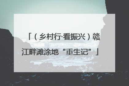 （乡村行·看振兴）赣江畔滩涂地“重生记”