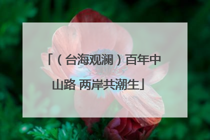 （台海观澜）百年中山路 两岸共潮生