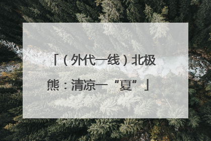 （外代一线）北极熊：清凉一“夏”