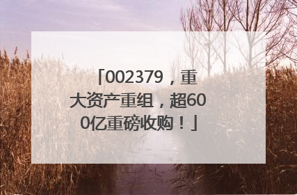 002379，重大资产重组，超600亿重磅收购！
