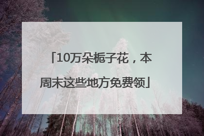 10万朵栀子花，本周末这些地方免费领