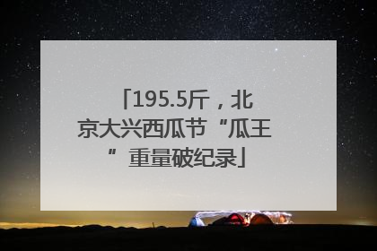195.5斤，北京大兴西瓜节“瓜王”重量破纪录
