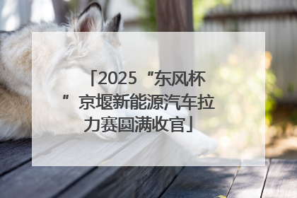 2025“东风杯”京堰新能源汽车拉力赛圆满收官