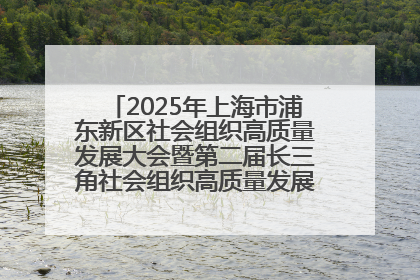 2025年上海市浦东新区社会组织高质量发展大会暨第二届长三角社会组织高质量发展峰会成功举办