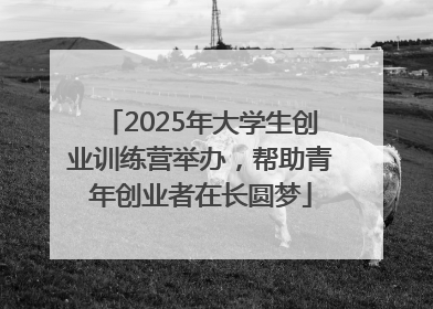 2025年大学生创业训练营举办，帮助青年创业者在长圆梦