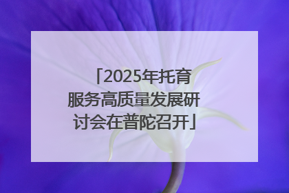 2025年托育服务高质量发展研讨会在普陀召开