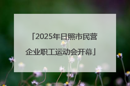 2025年日照市民营企业职工运动会开幕