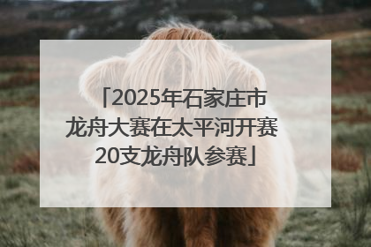 2025年石家庄市龙舟大赛在太平河开赛 20支龙舟队参赛