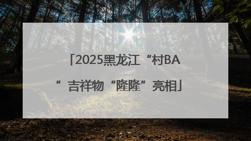 2025黑龙江“村BA”吉祥物“隆隆”亮相