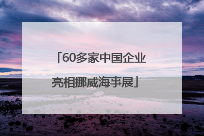 60多家中国企业亮相挪威海事展
