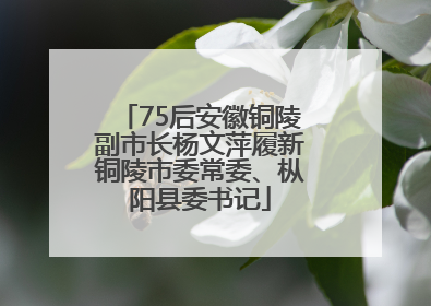 75后安徽铜陵副市长杨文萍履新铜陵市委常委、枞阳县委书记