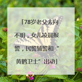 78岁老父去向不明，女儿凌晨报警，民警辅警和“黄鹤卫士”出动