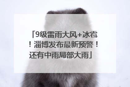 9级雷雨大风+冰雹！淄博发布最新预警！还有中雨局部大雨