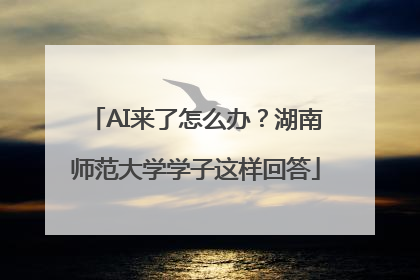 AI来了怎么办？湖南师范大学学子这样回答