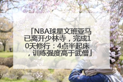 NBA球星文班亚马已离开少林寺，完成10天修行：4点半起床，训练强度高于武僧